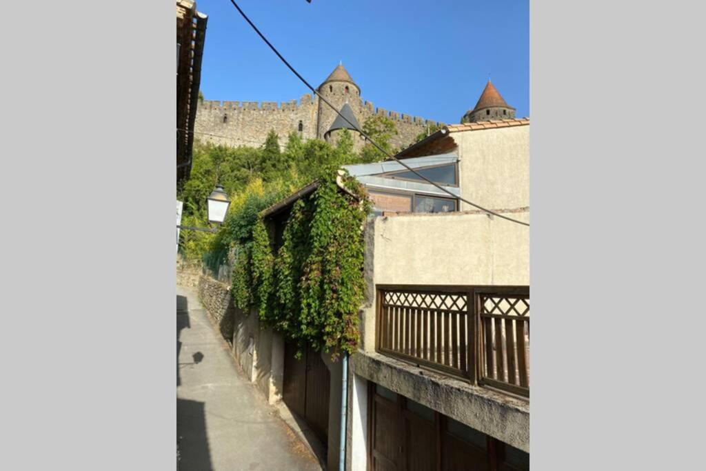 Maison Au Pied De La Cite Medievale De 카르카손 외부 사진